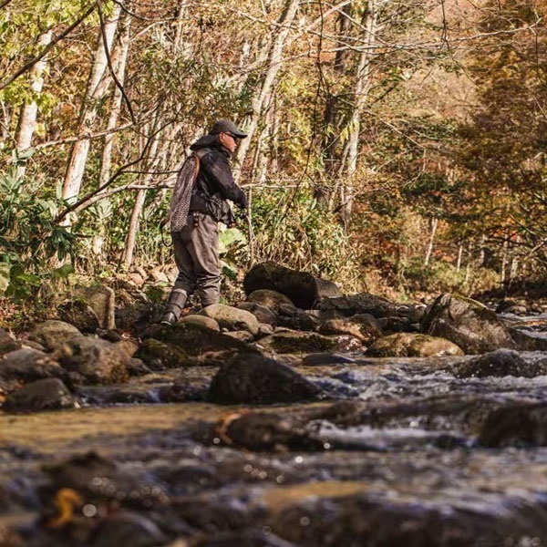 CARDIFF リフレイン 50HS